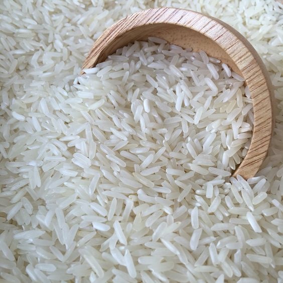 1509 White Sella