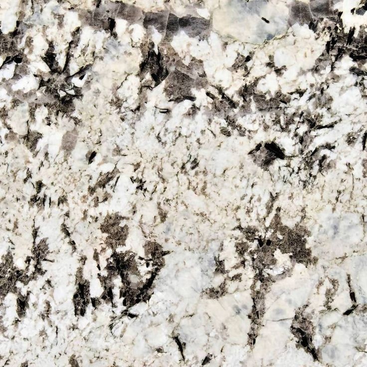 Alaska White