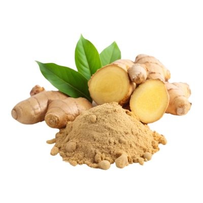 Fresh Ginger / Dry Ginger/ Powder