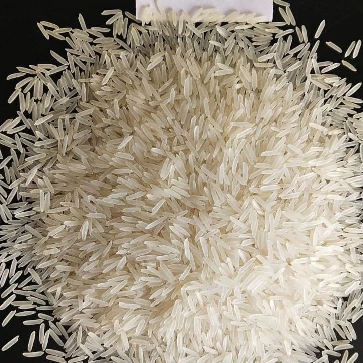 Pusa White Sella